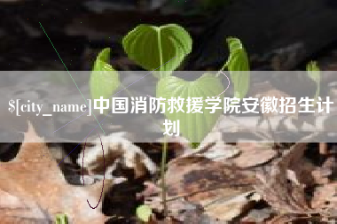 诸城中国消防救援学院安徽招生计划