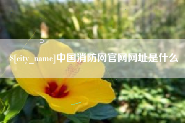 诸城中国消防网官网网址是什么