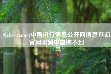 诸城中国执行信息公开网信息查询官网限消中查询不到