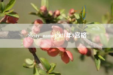 诸城2021年9宫格