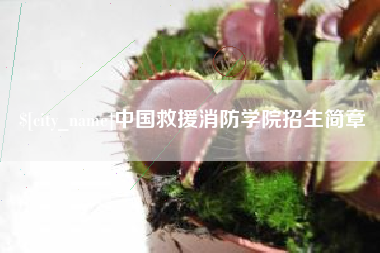 诸城中国救援消防学院招生简章
