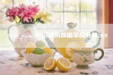 诸城中国消防救援学院分数2020