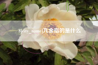 诸城九金指的是什么