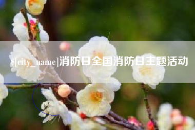 诸城消防日全国消防日主题活动