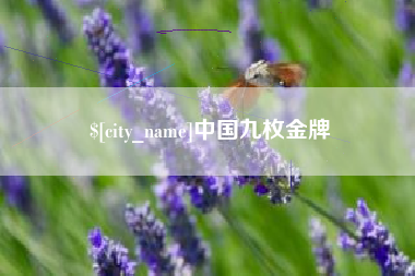 诸城中国九枚金牌