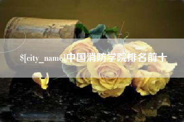 诸城中国消防学院排名前十