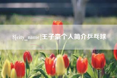 诸城王子豪个人简介乒乓球