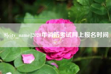 诸城2020年消防考试网上报名时间