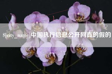 诸城中国执行信息公开网真的假的