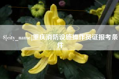 诸城重庆消防设施操作员证报考条件