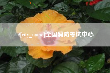诸城全国消防考试中心