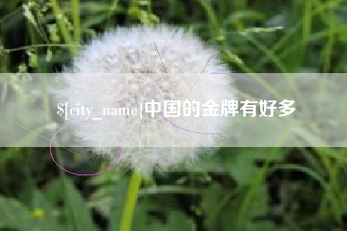 诸城中国的金牌有好多