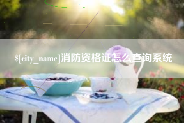诸城消防资格证怎么查询系统