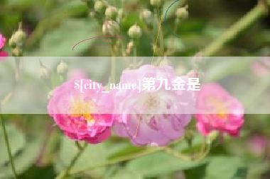 诸城第九金是