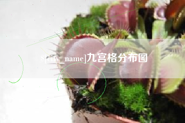 诸城九宫格分布图