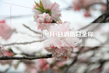 诸城11月9日消防日全称