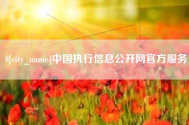 诸城中国执行信息公开网官方服务