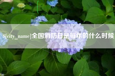 诸城全国消防日是每年的什么时候
