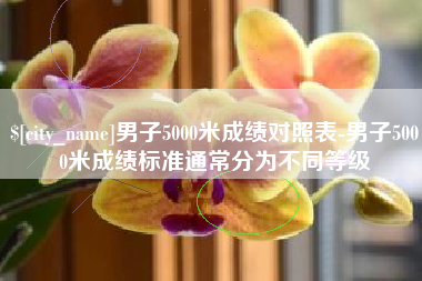 诸城男子5000米成绩对照表-男子5000米成绩标准通常分为不同等级