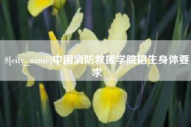 诸城中国消防救援学院招生身体要求