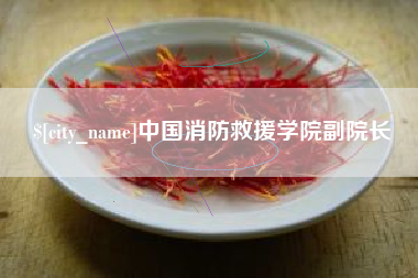 诸城中国消防救援学院副院长