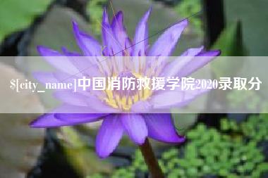 诸城中国消防救援学院2020录取分