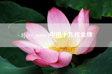 诸城中国十九枚金牌