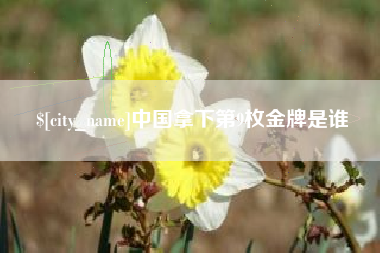 诸城中国拿下第9枚金牌是谁