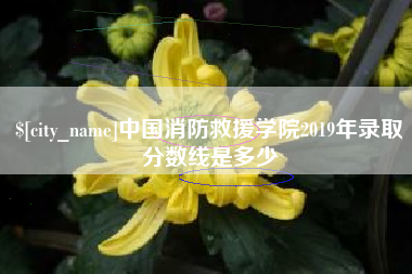 诸城中国消防救援学院2019年录取分数线是多少