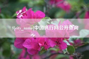 诸城中国执行网公开查询