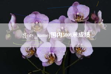 诸城国内5000米成绩