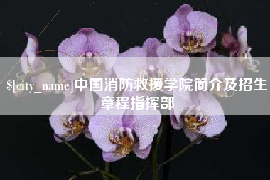 诸城中国消防救援学院简介及招生章程指挥部