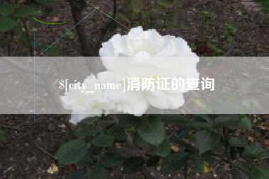 诸城消防证的查询
