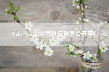 诸城中国执行信息公开平台