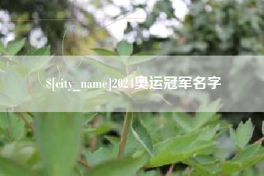 诸城2024奥运冠军名字