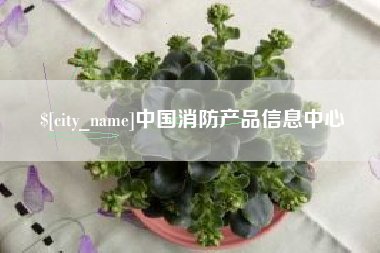 诸城中国消防产品信息中心