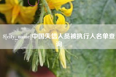 诸城中国失信人员被执行人名单查询