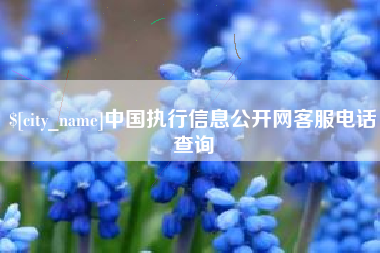 诸城中国执行信息公开网客服电话查询