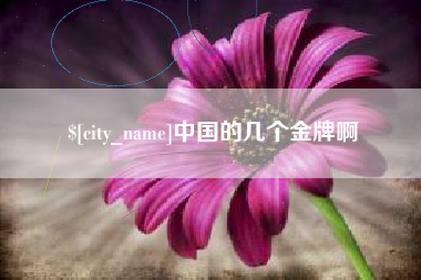 诸城中国的几个金牌啊