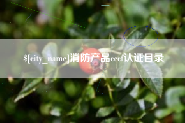 诸城消防产品cccf认证目录