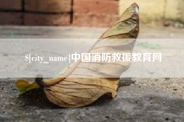 诸城中国消防救援教育网