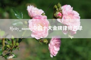 诸城中国十大金牌律师名单