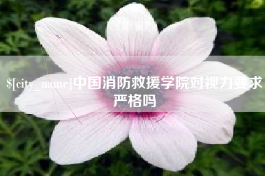 诸城中国消防救援学院对视力要求严格吗