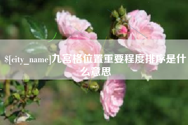 诸城九宫格位置重要程度排序是什么意思