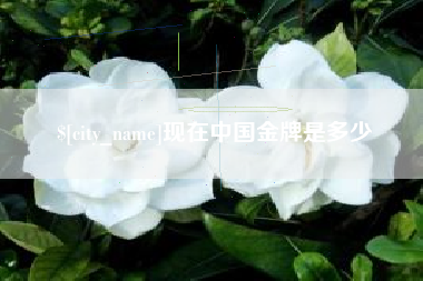 诸城现在中国金牌是多少