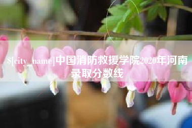 诸城中国消防救援学院2020年河南录取分数线