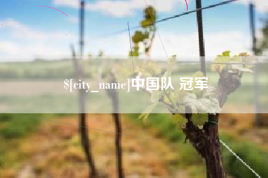 诸城中国队 冠军