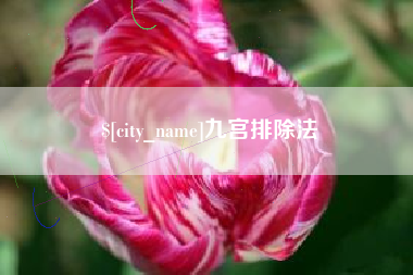诸城九宫排除法