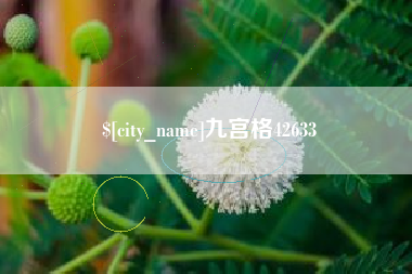 诸城九宫格42633