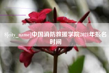 诸城中国消防救援学院2021年报名时间